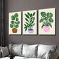 3pcs Monstera Deliciosa in a Flower Pot Wall Art Set Canvas Framed 40x60cm - High Quality Print 100% Australian Made Wall Canvas Ready to Hang