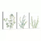 3pcs Lone Green Leaves Water Coloured Canvas Framed 40x60cm - High Quality Print 100% Australian Made Wall Canvas Ready to Hang