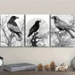 3pcs  The psychic Crow Wall Art Set Canvas Framed 40x60cm - High Quality Print 100% Australian Made Wall Canvas Ready to Hang