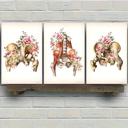 3pcs Skeleton and Flowers Portrait Anatomy Prints Metal Print Ready to Hang Art