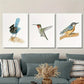 3pcs Blue &amp; Black Bird Illustrations, Metal Print Ready to Hang Art