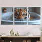 3pcs Playful Funny Tiger Humorous Metal Print Ready to Hang Art