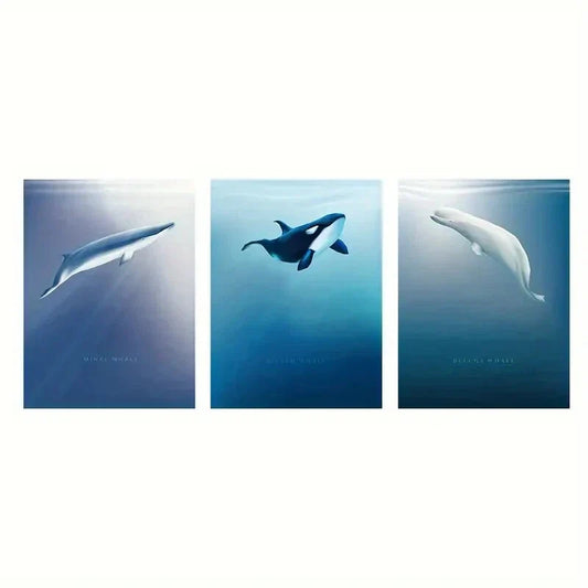 3pcs  Sea Life White Black Blue Whale Animal   Metal Print Ready to Hang Art