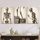 3pcs , Colorful flower art, gilt decorative Metal Print Ready to Hang Art
