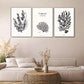 3pcs Marine Botany Wall Art Canvas Wall Art Set Canvas Framed 40x60cm - High Quality Print 100% Australian Made Wall Canvas Ready to Hang