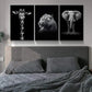 3pcs  Giraffe Tiger and Elephant Picture   Metal Print Ready to Hang Art