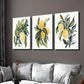 3pcs Botanical Fruit with Green Leaf Wall Art Set Canvas Framed 40x60cm - High Quality Print 100% Australian Made Wall Canvas Ready to Hang