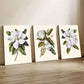 3pcs Maglia Flower Print Canvas Framed 40x60cm - High Quality Print 100% Australian Made Wall Canvas Ready to Hang