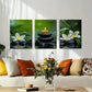 3pcs Nature Stones Candle and Plumeria Perfect Wall Art Set Canvas Framed 40x60cm - High Quality Print 100% Australian Made Wall Canvas Ready to Hang