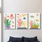 3pcs Colorful Sea Creatures in Ocean Ecosystem Wall Art Set Canvas Framed 40x60cm - High Quality Print 100% Australian Made Wall Canvas Ready to Hang