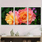 3pcs Vibrant Pink & Orange Roses Floral Metal Print Ready to Hang Art