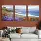 3pcs  Vibrant Daisy & Ocean Landscape Wall Art Set Canvas Framed 40x60cm - High Quality Print 100% Australian Made Wall Canvas Ready to Hang