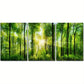3pcs Forest Morning Sunrise Green Plant Metal Print Ready to Hang Art