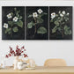 3pcs  Elegant Botanical White Flower Triptych Wall Art Set Canvas Framed 40x60cm - High Quality Print 100% Australian Made Wall Canvas Ready to Hang