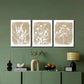 3pcs Rustic Floral , Botanical Wall Art Set Canvas Framed 40x60cm - High Quality Print 100% Australian Made Wall Canvas Ready to Hang