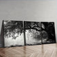 3pcs Dark Chic Angel Oaks Darkness Design Wall Art Set Canvas Framed 40x60cm - High Quality Print 100% Australian Made Wall Canvas Ready to Hang