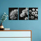 3pcs Elegant Modern Abstract Painting Metal Print Ready to Hang Art