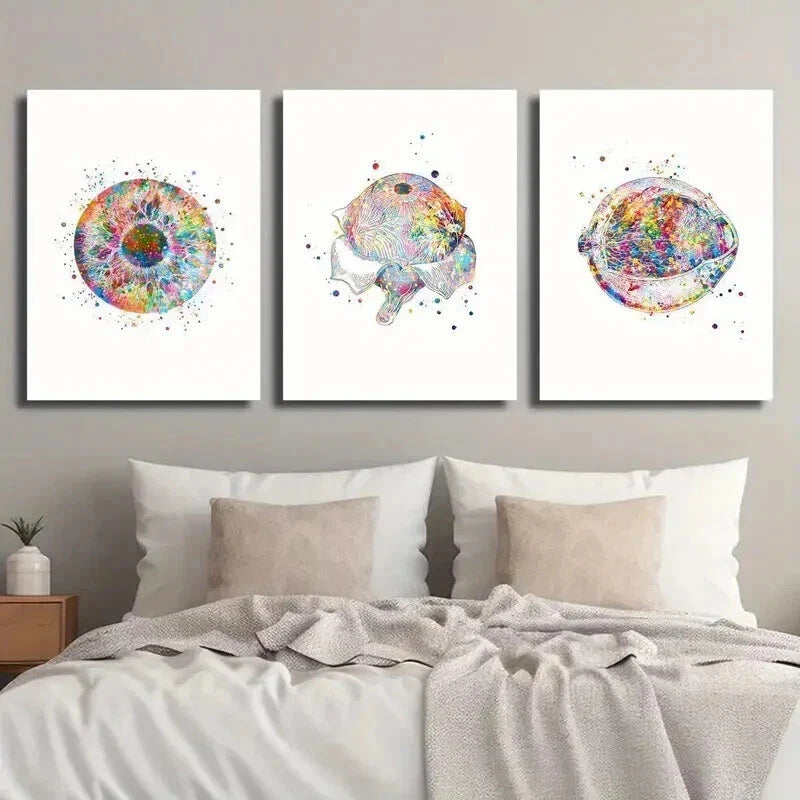 3pcs Eye Clinic Poster with Anatomy Illustration Wall Art Set Canvas Framed 40x60cm - High Quality Print 100% Australian Made Wall Canvas Ready to Hang