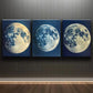 3pcs Raters of the Moon Blue Night Dark Wall Art Set Canvas Framed 40x60cm - High Quality Print 100% Australian Made Wall Canvas Ready to Hang