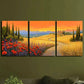3pcs Flowers Blooming in The Countryside Wall Art Set Canvas Framed 40x60cm - High Quality Print 100% Australian Made Wall Canvas Ready to Hang