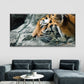 Asia Tiger Closeup Face Wall Art Canvas Office Home Room Framed 120x60cm