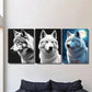 3pcs Wolf Black and White with Stunning Blue Eye Metal Print Ready to Hang Art