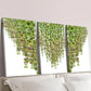 3pcs Vine Green Plant Leaf Decoration Wall Art Set Canvas Framed 40x60cm - High Quality Print 100% Australian Made Wall Canvas Ready to Hang