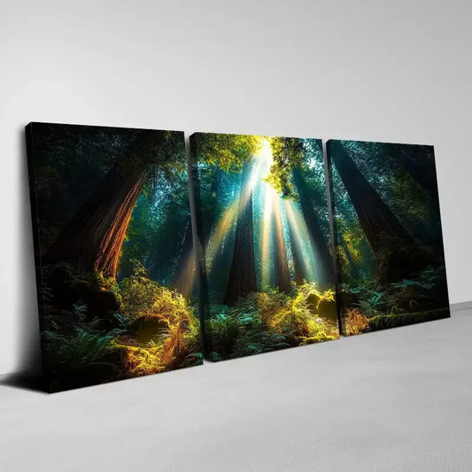 3pcs Enchanting Dark Forest Sunlight Scene  Wall Art Set Canvas Framed 40x60cm - High Quality Print 100% Australian Made Wall Canvas Ready to Hang