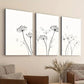3pcs Queen Annes White Black Liner Florals Wall Art Set Canvas Framed 40x60cm - High Quality Print 100% Australian Made Wall Canvas Ready to Hang