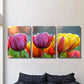 3pcs Tulips in the Rain Floral Themed Wall Art Set Canvas Framed 40x60cm - High Quality Print 100% Australian Made Wall Canvas Ready to Hang