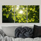 3pcs Vibrant Green Foliage with Golden Sunlight Wall Art Set Canvas Framed 40x60cm - High Quality Print 100% Australian Made Wall Canvas Ready to Hang