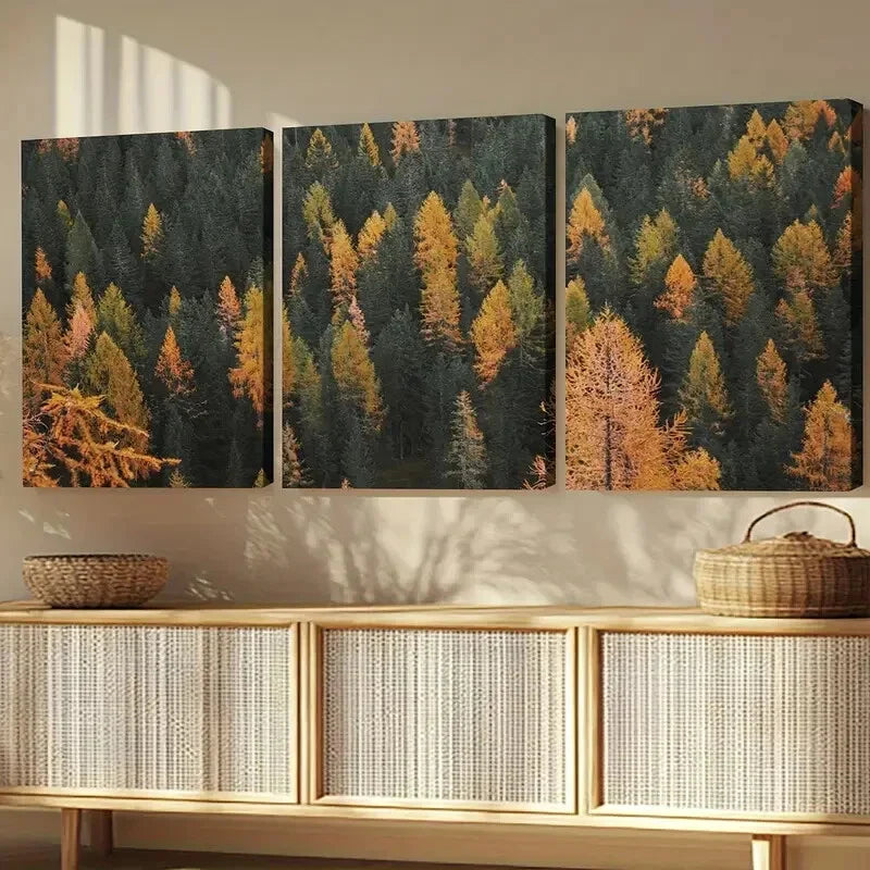 3pcs Autumn Pine Forest Colorado Scenery Wall Art Set Canvas Framed 40x60cm - High Quality Print 100% Australian Made Wall Canvas Ready to Hang