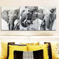 3pcs Majestic elephant Design Metal Print Ready to Hang Art