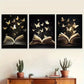3pcs Enchanted Book Wrapped Pine Wood Frame Wall Art Set Canvas Framed 40x60cm - High Quality Print 100% Australian Made Wall Canvas Ready to Hang