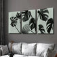 3pcs Black & White Botanical Monstera Leaf Wall Art Set Canvas Framed 40x60cm - High Quality Print 100% Australian Made Wall Canvas Ready to Hang