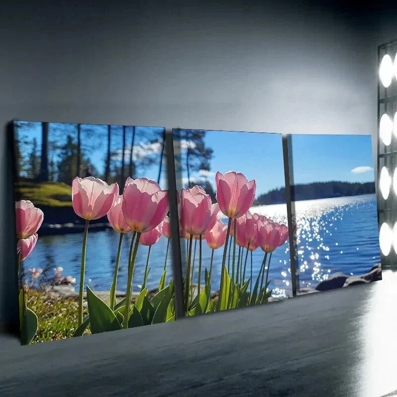 3pcs Chic Pink Tulip Pink Nature Blue Wall Art Set Canvas Framed 40x60cm - High Quality Print 100% Australian Made Wall Canvas Ready to Hang