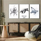 3pcs  Marine Life Triptych Wall Art Set Canvas Framed 40x60cm - High Quality Print 100% Australian Made Wall Canvas Ready to Hang