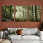 3pcs Classic Style Green Fall Forest Sun Rays Wall Art Set Canvas Framed 40x60cm - High Quality Print 100% Australian Made Wall Canvas Ready to Hang