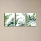 3pcs Abstract Elegant Green Plants Wall Art Set Canvas Framed 40x60cm - High Quality Print 100% Australian Made Wall Canvas Ready to Hang