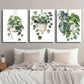 3pcs Green Monstera & Pothos Plant Wall Art Set Canvas Framed 40x60cm - High Quality Print 100% Australian Made Wall Canvas Ready to Hang