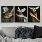 3pcs Peace Dove on Hand Design Versatile Home Wall Art Set Canvas Framed 40x60cm - High Quality Print 100% Australian Made Wall Canvas Ready to Hang
