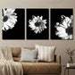 3pcs Elegant Black & White Gerbera Floral Wall Art Set Canvas Framed 40x60cm - High Quality Print 100% Australian Made Wall Canvas Ready to Hang