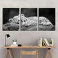 3pcs Black & White Leopard Cub Sleeping Metal Print Ready to Hang Art