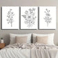 3pcs Black and White Botanical Floral Theme Wall Art Set Canvas Framed 40x60cm - High Quality Print 100% Australian Made Wall Canvas Ready to Hang