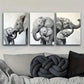 3pcs Majestic elephant Art Painting Metal Print Ready to Hang Art