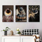 3pcs Cats Dressed in Royal Attire, Victorian Metal Print Ready to Hang Art
