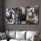 3pcs Galloping Horses Black and White Horse Wall Art Set Canvas Framed 40x60cm - High Quality Print 100% Australian Made Wall Canvas Ready to Hang