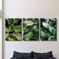 3pcs Tropical Lush Green Plant Decor Wall Art Set Canvas Framed 40x60cm - High Quality Print 100% Australian Made Wall Canvas Ready to Hang