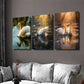 3pcs Elegant White Swans In Serene Water Wall Art Set Canvas Framed 40x60cm - High Quality Print 100% Australian Made Wall Canvas Ready to Hang
