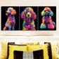 3pcs The Glitzy Poodle Art Painting Metal Print Ready to Hang Art